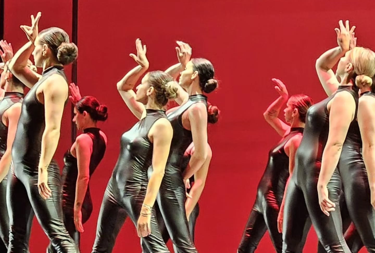 Gala Pole Style Elegance